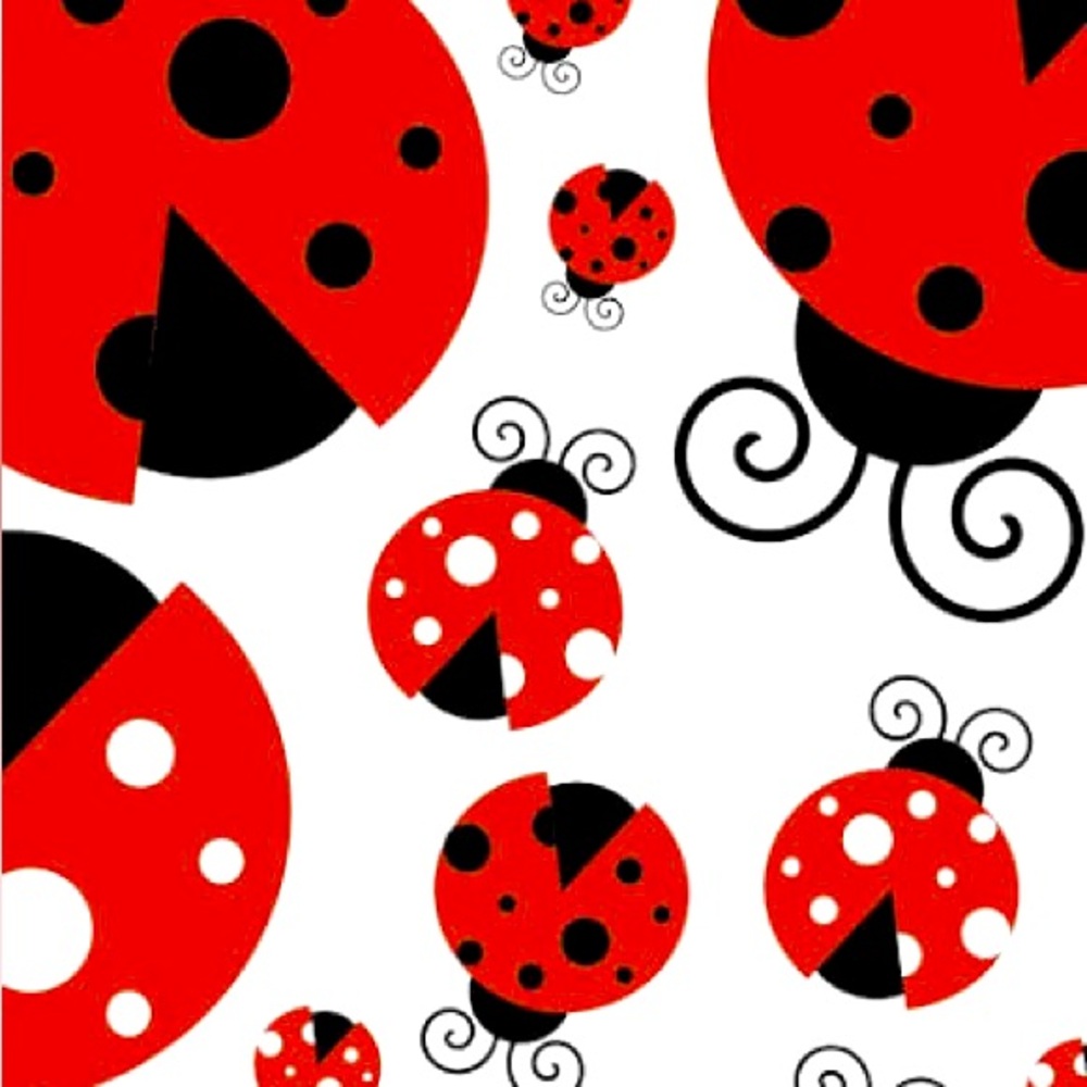 hello 🐞🎶